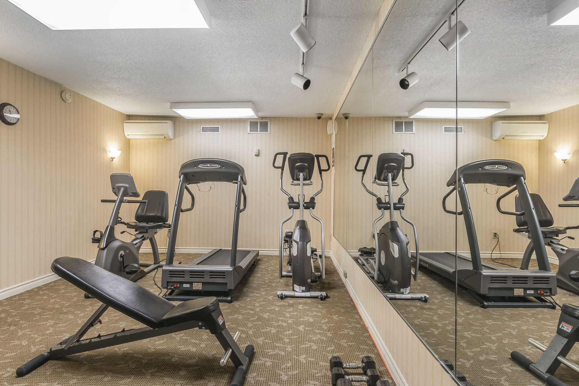 Quality Inn & Suites 5585 Ambler Drive Mississauga Ontario Съоръжения снимка